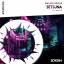 Artwork for Setsuna (Intro Mix)