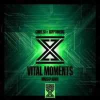 Artwork for Vital Moments (MNDSCP Remix) by Chris.SU