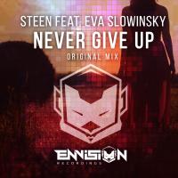 Artwork for Never Give Up by Steen