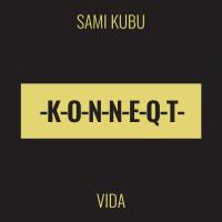 Artwork for Vida by Sami Kubu