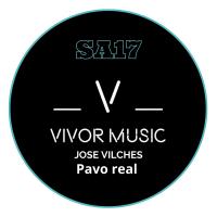 Artwork for Pavo real by Jose Vilches