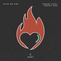 Artwork for Insane Love / Trophy Girl by Haus On Fire