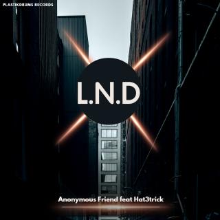 Artwork for L.N.D (Original Mix)