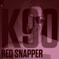 Artwork for Red Snapper by K90