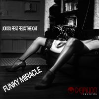 Artwork for Funky Miracle by JoioDJ