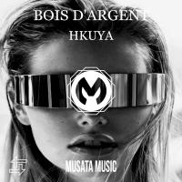 Artwork for Bois D'Argent by Hkuya