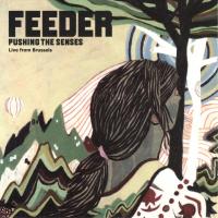 Artwork for Pushing the Senses (Live from Brussels) by Feeder