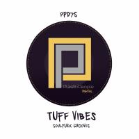 Artwork for Soulfuric Grooves (Tuff Vibes Love To Jazz-N-Groove Mix) by Tuff Vibes