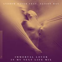 Artwork for Immortal Lover (In My Next Life Mix) by Andrew Bayer