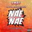 Artwork for Nae Nae