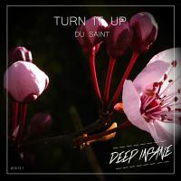 Artwork for Turn It Up by Du Saint