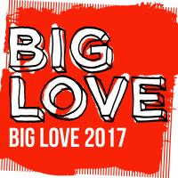 Artwork for Big Love 2017 by Various Artists