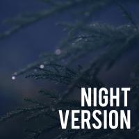 Artwork for Night Version by Relaxing Music