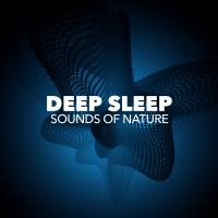 Artwork for Deep Sleep by Sounds Of Nature