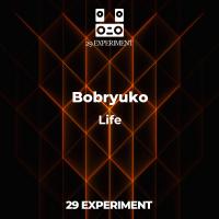 Artwork for Life by Bobryuko