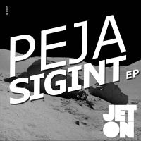 Artwork for Sigint EP by Peja