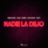 Artwork for Nadie La Dejo by Dimelo Flow