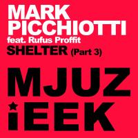 Artwork for Shelter, Pt. 3 by Mark Picchiotti