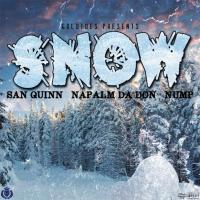 Artwork for Snow by San Quinn