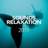 Artwork for Sounds Relaxation 2019 by Whale Sounds For Relaxation