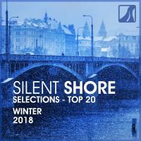 Artwork for Silent Shore Selections Top 20: Winter 2018 by Various Artists