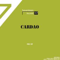 Artwork for PD2 EP by Cardao