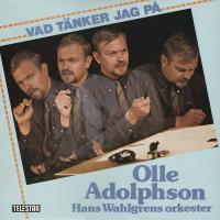 Artwork for Vad tänker jag på by Olle Adolphson