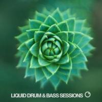 Artwork for Liquid Drum & Bass Sessions 2019 Vol 3 by Various Artist