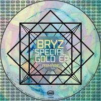 Artwork for Special Gold by BRYZ