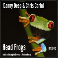 Artwork for Head Frogs by Danny Deep