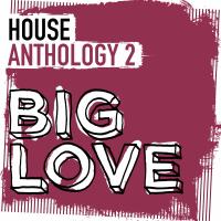 Artwork for Big Love House Anthology 2 by Various Artists