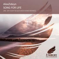 Artwork for Song For Life by AlexZideyn