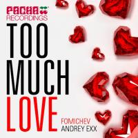 Artwork for Too Much Love by Andrey Exx