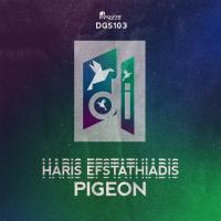 Artwork for Pigeon by Haris Efstathiadis