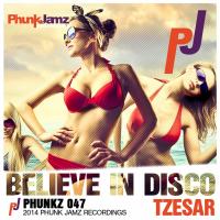 Artwork for Believe In Disco by Tzesar