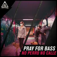 Artwork for No Perro No Calle by Pray For Bass