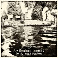 Artwork for Do You Know? (Remixes) by Alex Greenhouse