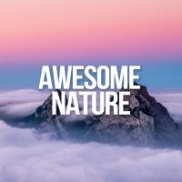 Artwork for Awesome Nature Sounds by Rain Sounds