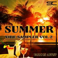 Artwork for Summer Vibe Sampler, Vol. 2 by Various Artists