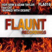 Artwork for Burned With Desire by Ivor Semi