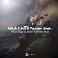 Artwork for Way of Light by Melodic Culture