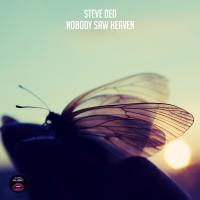 Artwork for Nobody Saw Heaven by Steve Ded