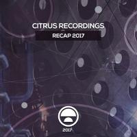 Artwork for Citrus Recordings Recap 2017 by Various Artists