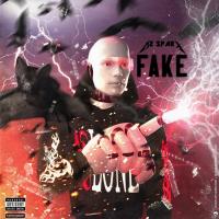 Artwork for Fake by Oz Sparx