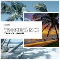 Artwork for Tropical Mix by Tropical House