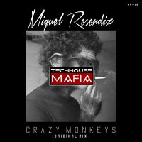 Artwork for Crazy Monkeys by Miguel Resendiz