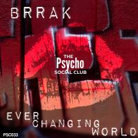 Artwork for Ever Changing World by Brrak