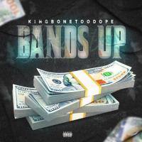 Artwork for Bands Up by KingBoneTooDope