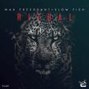 Artwork for Ritual (Original Mix)