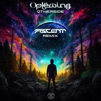 Artwork for Otherside (Ascent Remix) by Oplewing